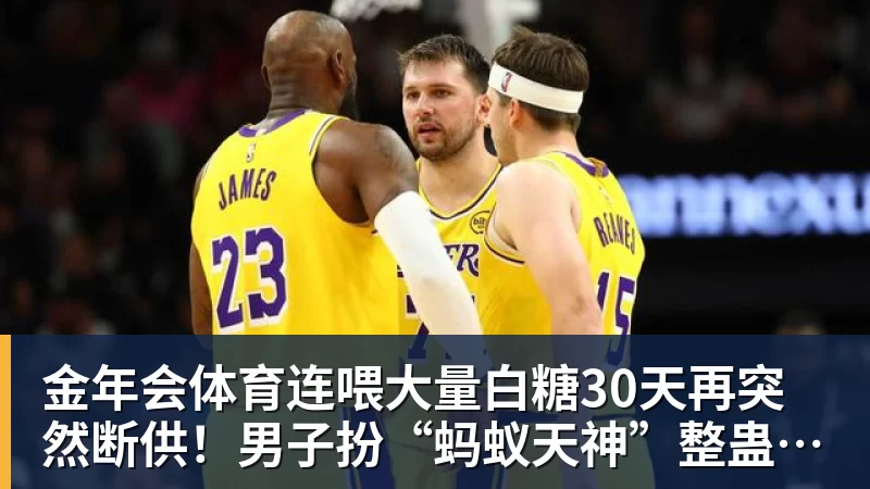 金年会体育连喂大量白糖30天再突然断供!男子扮“蚂蚁天神”整蛊野生蚁群